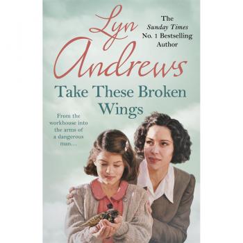 Take these Broken Wings