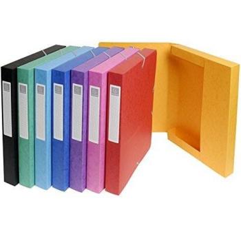 BOITE DE CLASSEMENT EXABOX DOS 25MM CARTE LUSTREE NATURE FUTURE