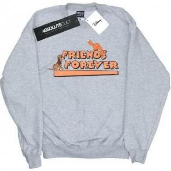 Little Friends Forever Pullover
