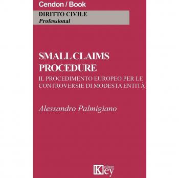 Small claims procedure. Il procedimento europeo per le controversie di modesta entità