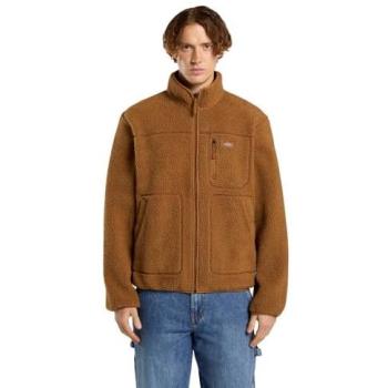 Giubbino Dickies Mount Hope Uomo Marrone