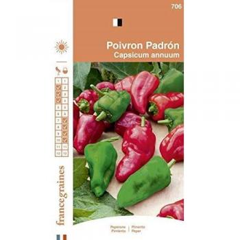 Semences de poivron de Padrón