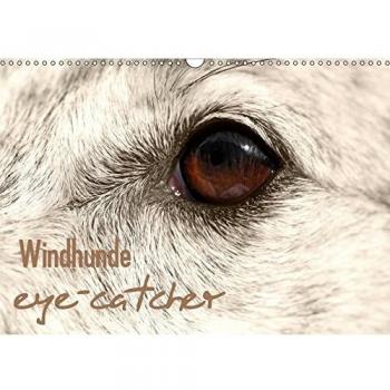 Windhunde eye-catcher