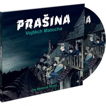 Prašina