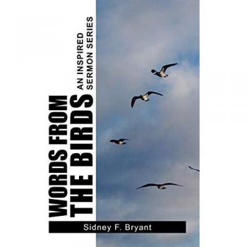Words from the Birds: An Inspired Sermon Series