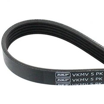SKF 5PK1219 Multi-V belt