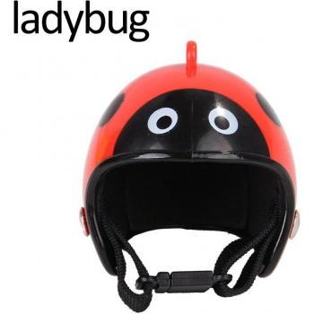 Vogelkopf‑Schutzmaske