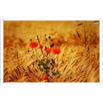 Cartel retro de metal Poppies In The Wheat Field 23116