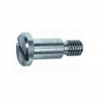 M4×5 mm Flachkopf‑Schraube mit Ansatz (DIN 923) – 100 Stück – 4,8/5,8 g