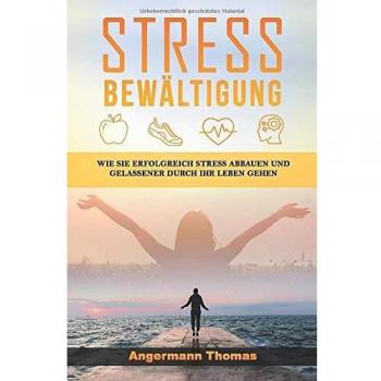 Stressbewältigung: Wie Sie erfolgreich Stress abbauen und gelassener durch Ihr Leben gehen