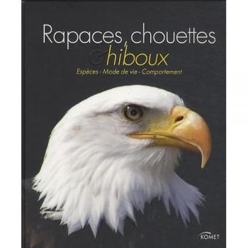 NGV Rapaces, Chouettes Et Hiboux : Espèces, Mode De Vie, Comportement