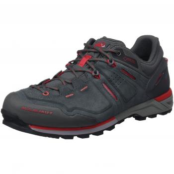 Mammut Herren Alnasca Low GTX Trekking