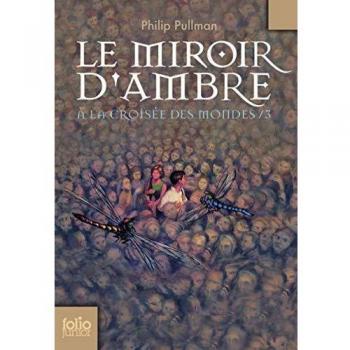 Miroir D Ambre (Folio Junior)