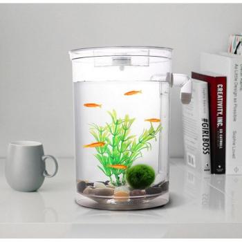 LED Illuminated Acrylic Fish Bowl for Desk