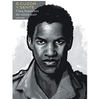 Cinq branches de coton noir