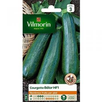 Pack de Graines Courgette Belor