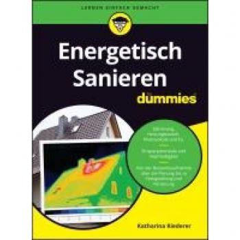 Energetisch Sanieren für Dummies