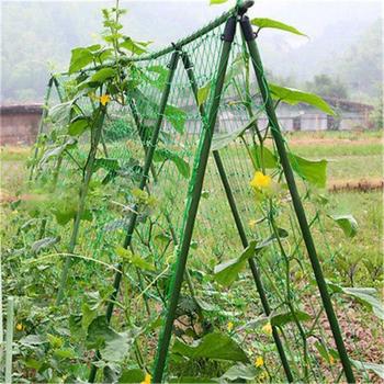Structure de treillage jardin – nylon vert 1,8 × 1,8 m – support pour haricots et plantes grimpantes