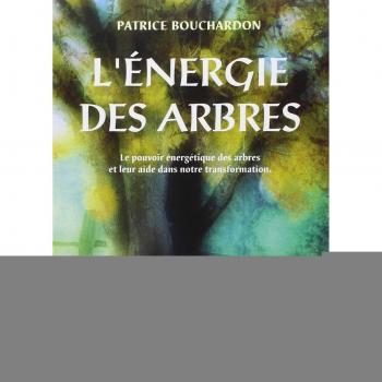 L'Energie des arbres : Le Pouvoir des arbres et leur aide dans notre transformation (Sante Dietetiqu)
