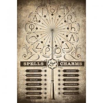 Affiche Harry Potter Incantations et Sorts 91,5x61cm