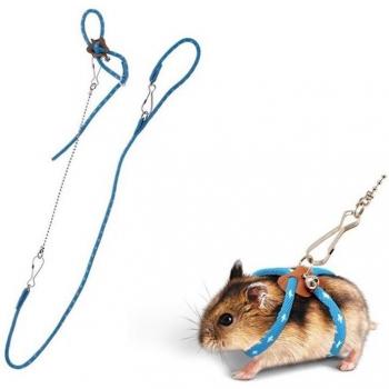 Harnais pour souris