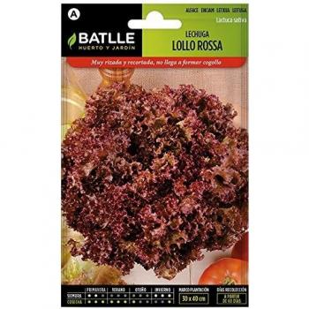 Milk Lollo Rosso Seed Bundle
