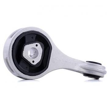 Sistema di Supporto Motorio RIDEX 247E0384