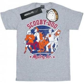 T-shirt Grigia Scooby Doo per Uomini
