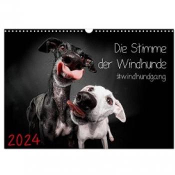 Die Stimme der Windhunde (Wandkalender 2024 DIN A3 quer) CALVENDO Monatskalender