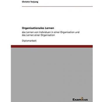 Organisationales lernen.