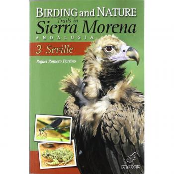 Birding and Nature trails in Sierra Morena Andalusia: Seville 3