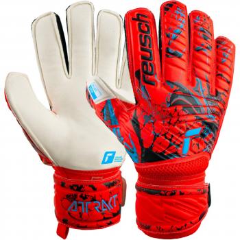 Reusch Grip Attrakt Plus