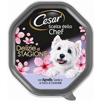 Scelta dello Chef Delizie di Stagione con Agnello, Carote e Coriandolo