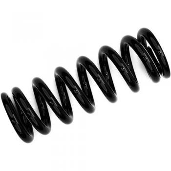 Ammortizzatore Steel Spring 5.949 TLG di Fox Racing