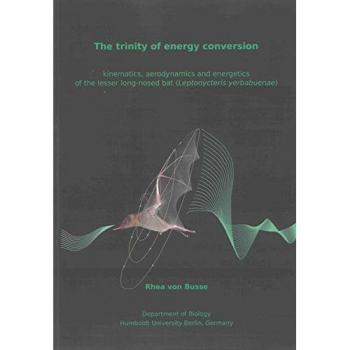 The trinity of energy conversion: kinematics, aerodynamics and energetics of the lesser long-nosed bat