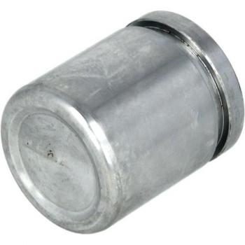 Bremssattel Kolben hinten AUTOFREN SEINSA D025266