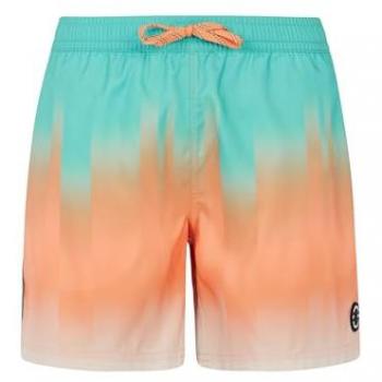 Bowery Bold Swim Togs