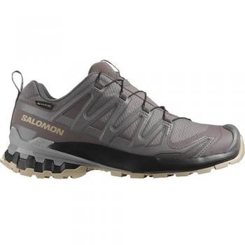 Salomon Damen Trailrunning Schuhe XA Pro 3D V9 GORE-TEX in Pflaume