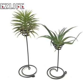 Conteneur décoratif pour Tillandsia