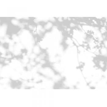 Papier Peint Panoramique Effet Ombre