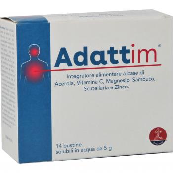 ADATTIM 14 Bust