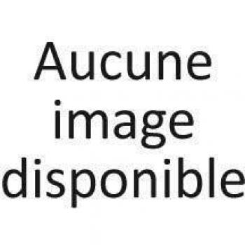 Brosse WC avec Boule