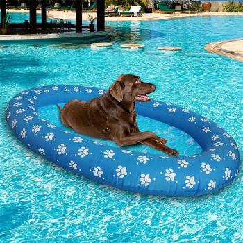 Inflatable Beach Toy for Pets