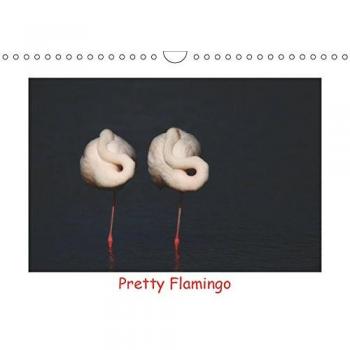 Pretty Flamingo