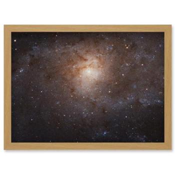 M33 Birth Region Art Canvas