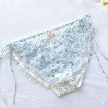 Culotte sexy en maille transparente grande taille
