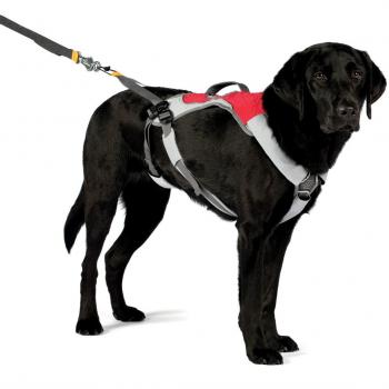 Ruffwear OmniJore Jöring System – Modell 3040‑615S