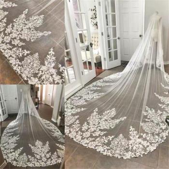 Elegant Cathedral Veil with Lace Trim
