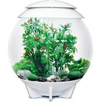 BiOrb 30L Winter-Aquarium-Dekor