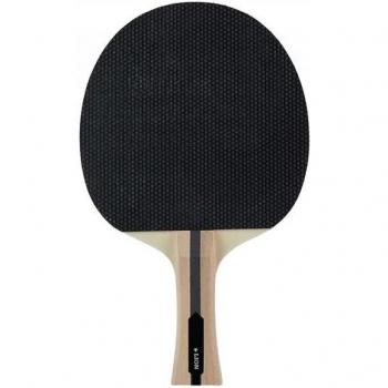 Pala de Tenis León Master